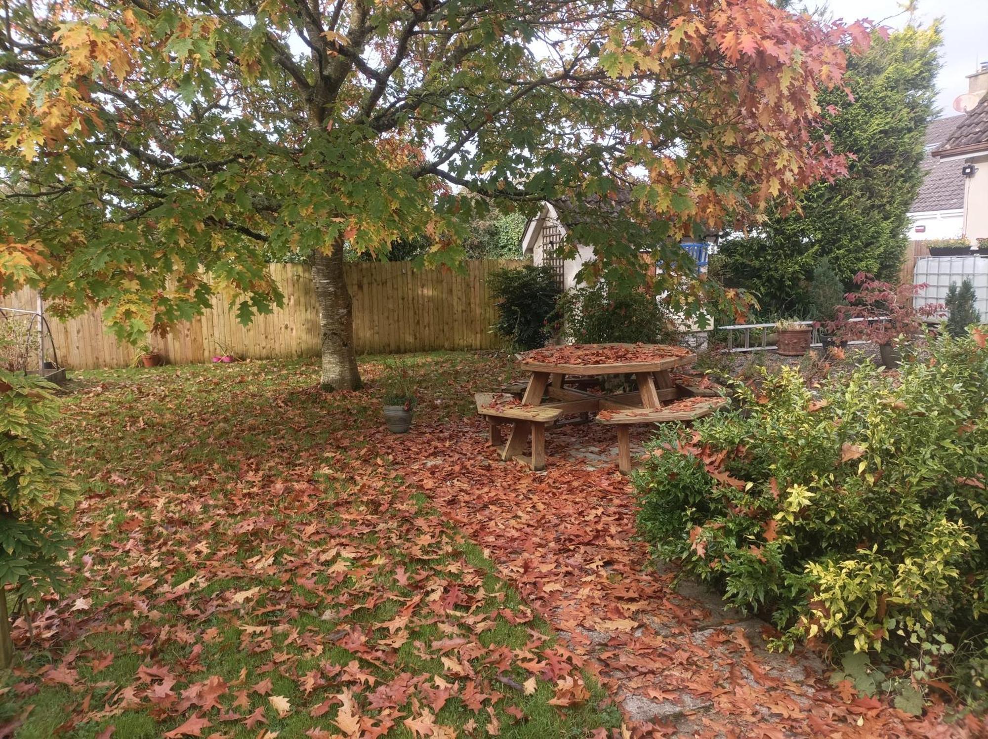 Twin Oaks Bed & Breakfast Κίλκενι Εξωτερικό φωτογραφία