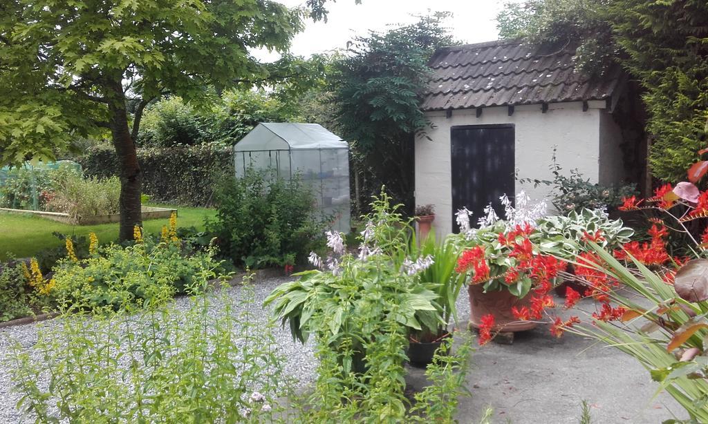 Twin Oaks Bed & Breakfast Κίλκενι Εξωτερικό φωτογραφία