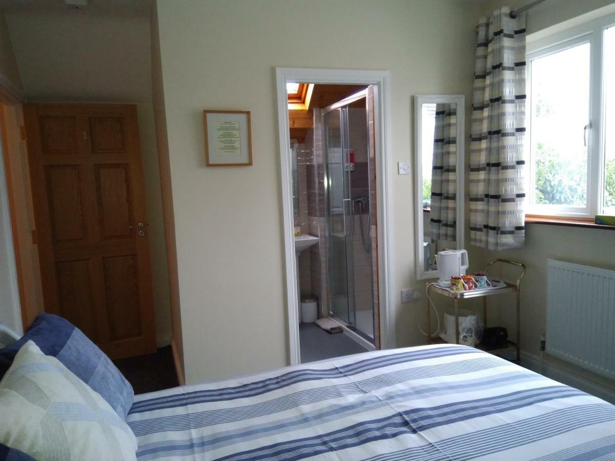 Twin Oaks Bed & Breakfast Κίλκενι Εξωτερικό φωτογραφία